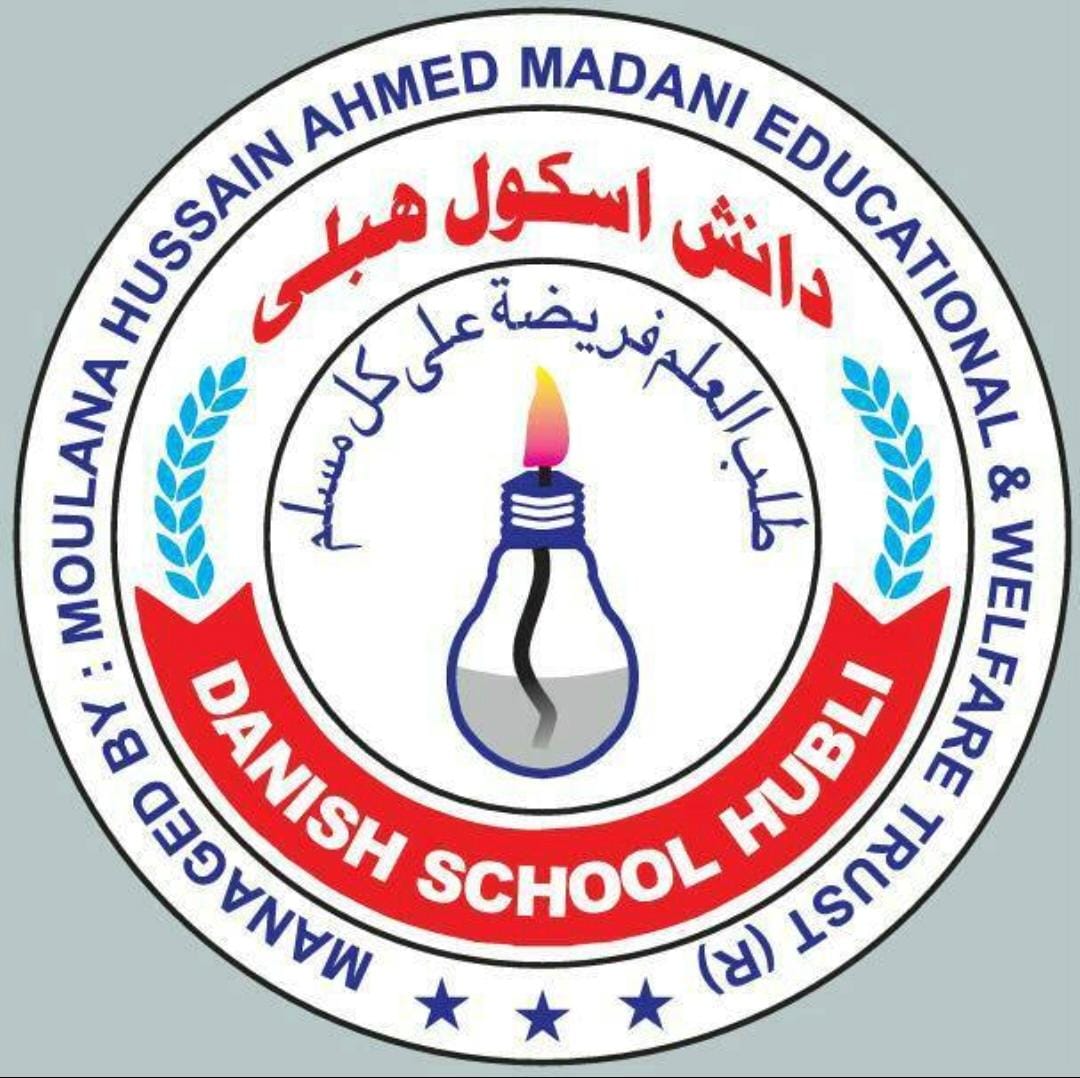 New Danish School Logo